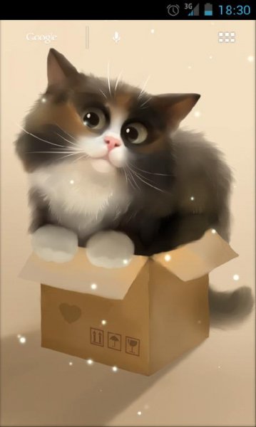 Cat-in-the-Box-v1.0.0