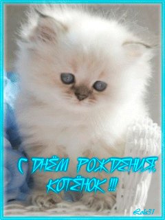 file_12545967
