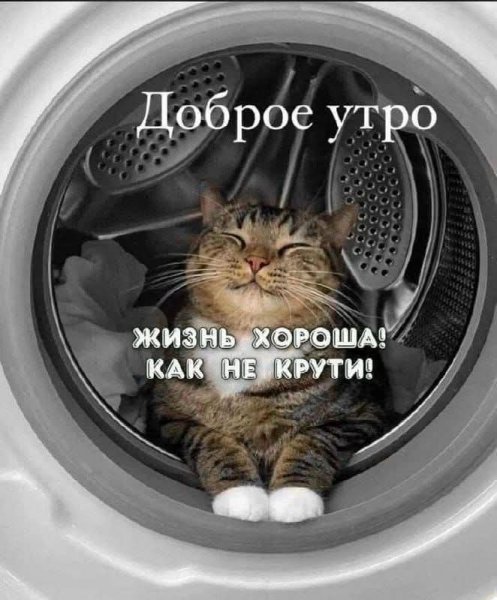 FB IMG 1772219910365