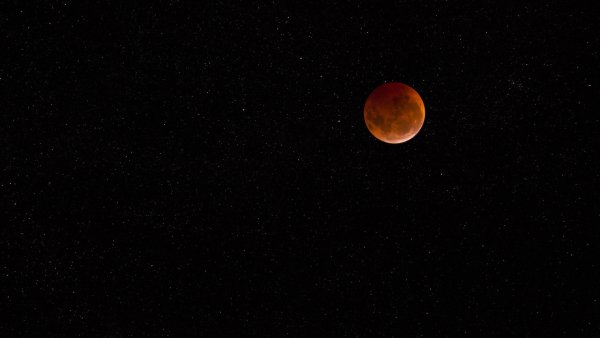 file_67351735