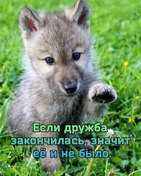 Если закончилась дружба...