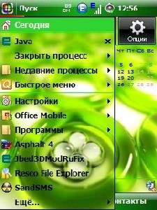 zelen pin