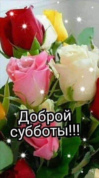 file_93884888