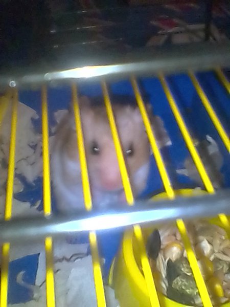 IMG 20180218 143141