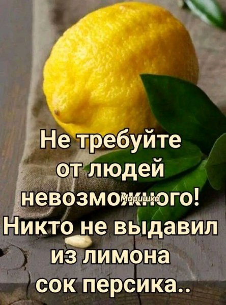 file_100985381