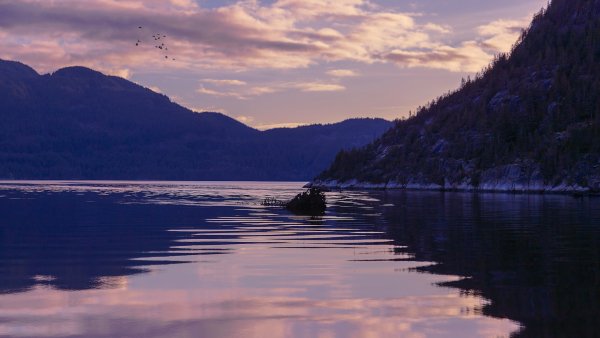 Squamish-river-british-columbia-reka-skvomish-britans