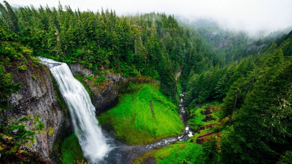 Tropical Woods Waterfall 2022 Spring Mist