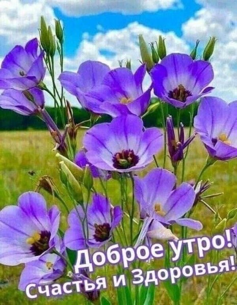 file_93915530