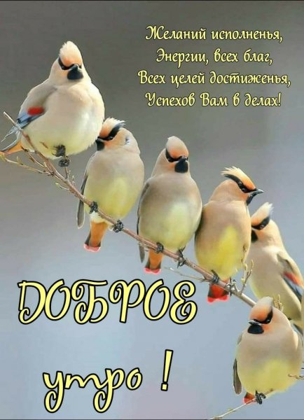 file_91770277