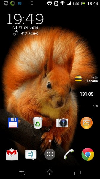 Squirre Live Wallpaper 1.0