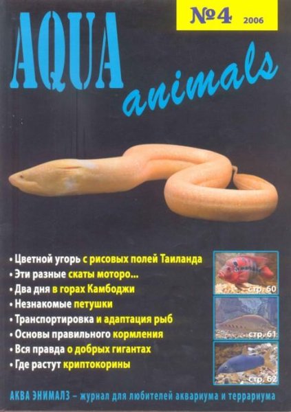 Aqua animals 04.2005