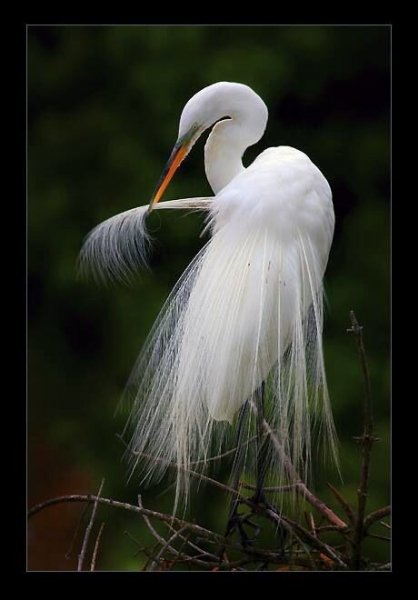 IMG-c847ec4f13901838338e36a9425b81d1-V