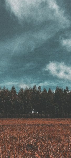 adapted 1080x2400 1750407253