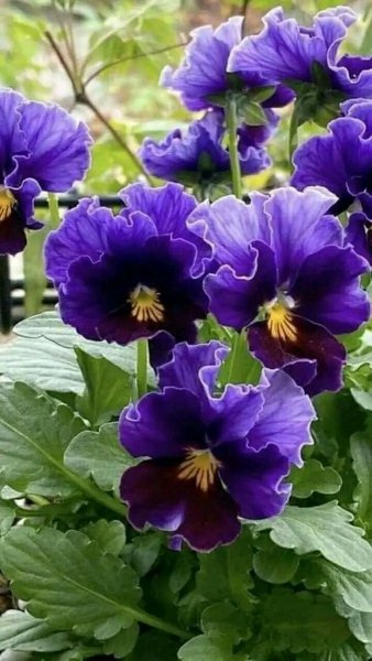 file_96281494