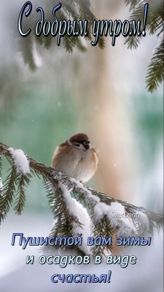 file_92331732