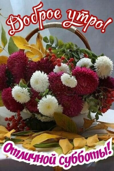 file_93942377
