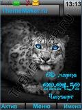 Leopards