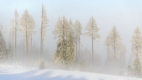 file_92234336