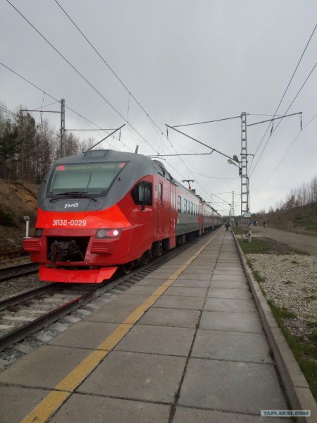 file_82686309