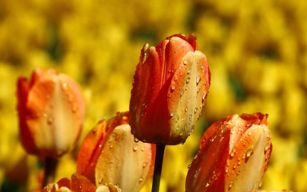 file_90076822