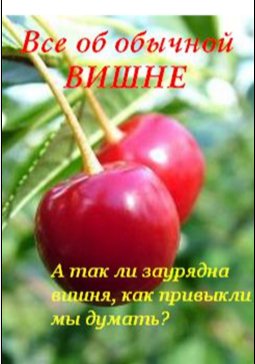 ВСЁ ОБ ОБЫЧНОЙ ВИШНИ