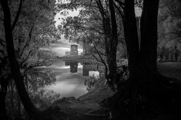 file_95127989