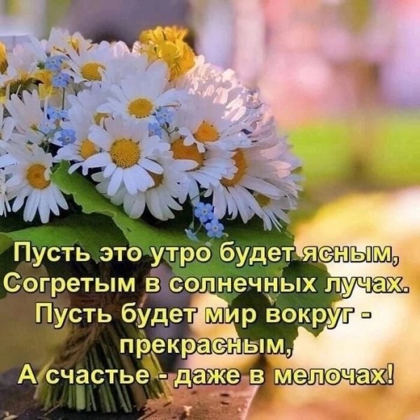 file_93932061