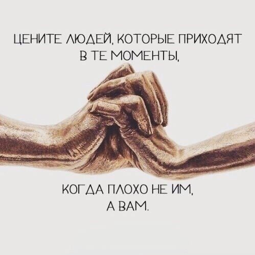 LFXq8XnLe28