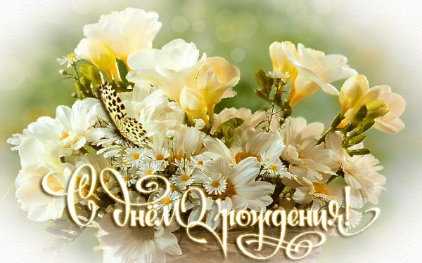 file_52137982