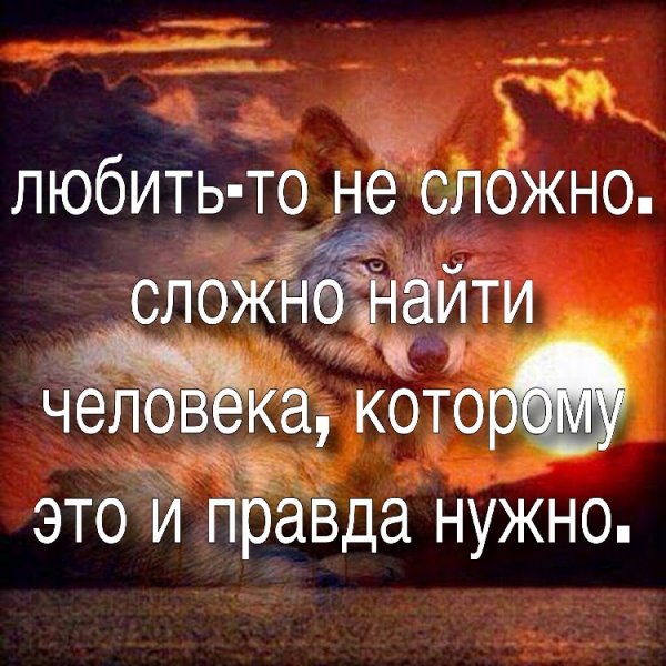 Любить не сложно