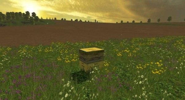 beehive