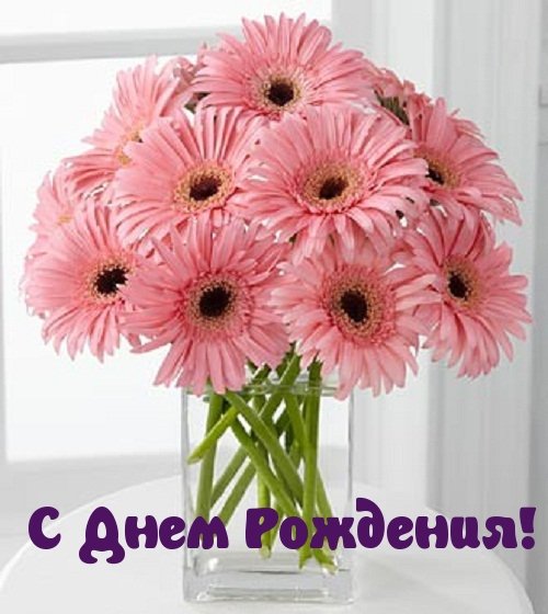 IMG 20181206 986832