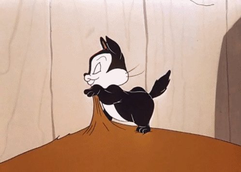 cat 11