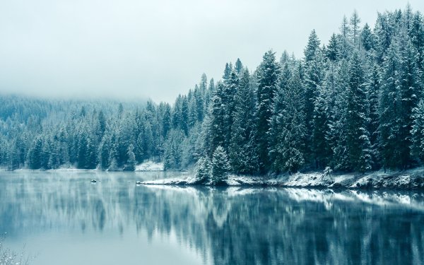 Amazing Mixed Wallpapers 65 (27)