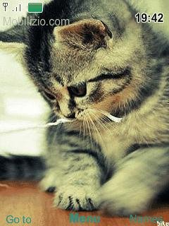 file_30334612