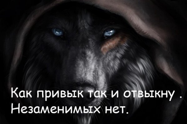 Незаменимых нет
