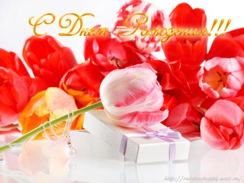 file_21774500