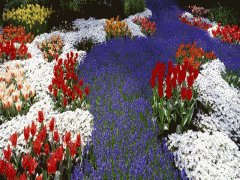 file_86355526