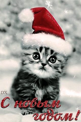 file_66113087