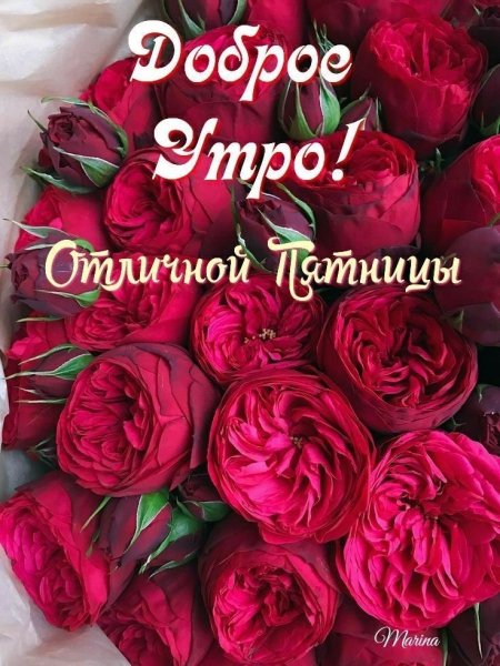 file_93989497