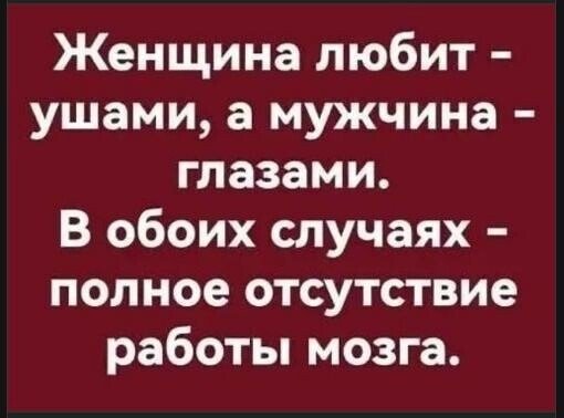 file_101520007