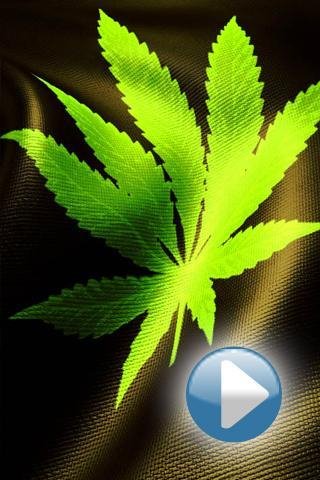 Mary Jane Free Live Wallpaper 1.3