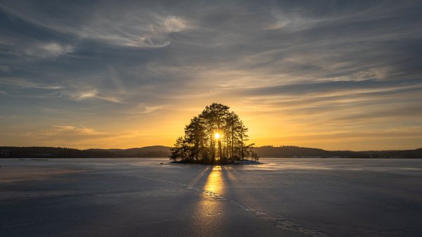 file_94695117