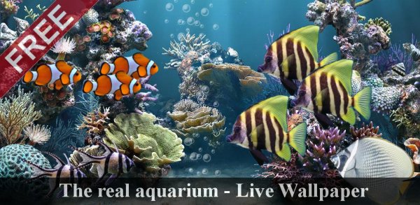 Aquarium.free.livewallpaper