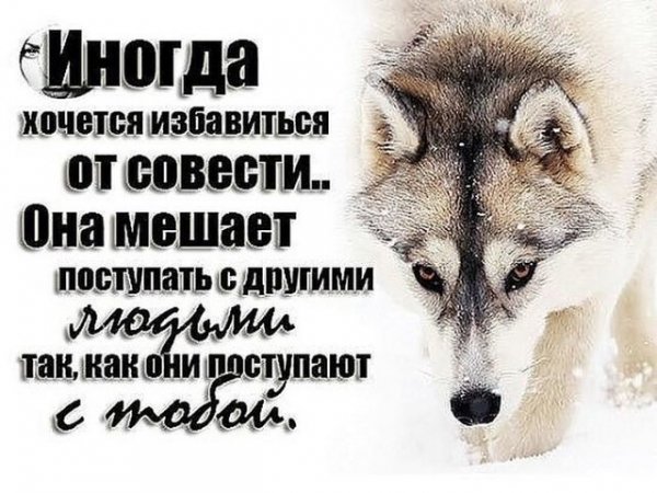 Совесть