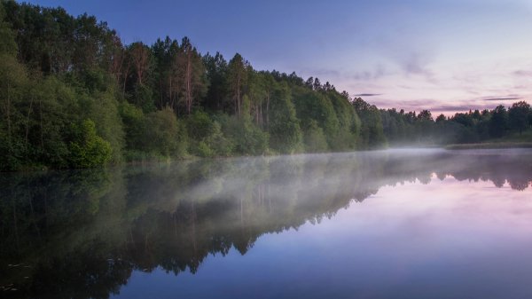 file_94708871
