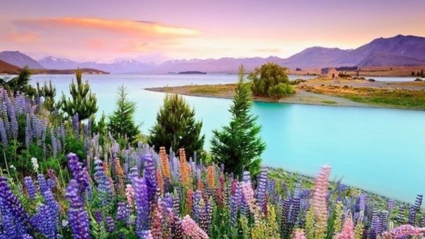 file_87671229
