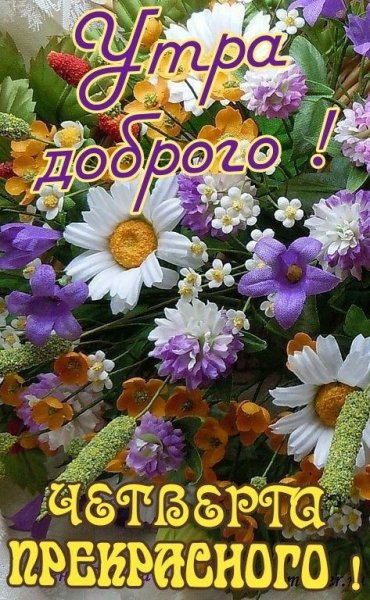 file_93923480