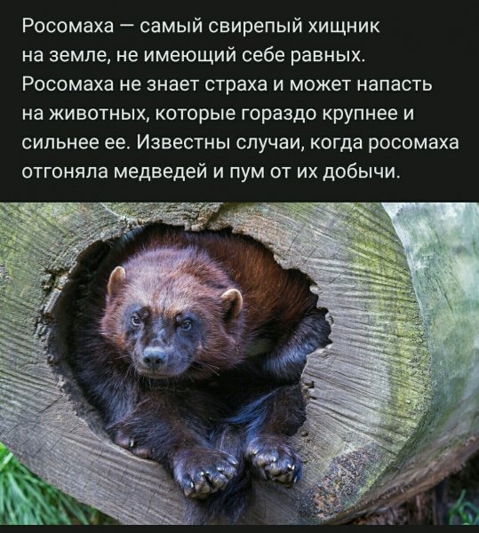 file_86108338
