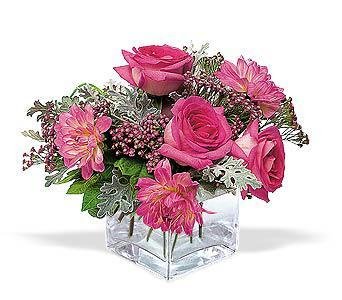file_85269107